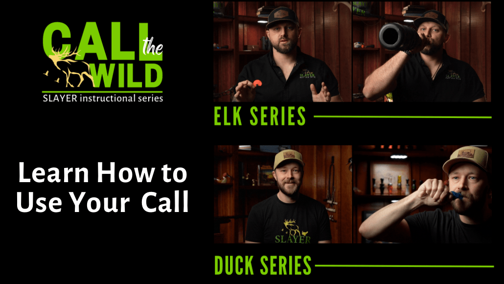 Call the Wild: learn how to use your call