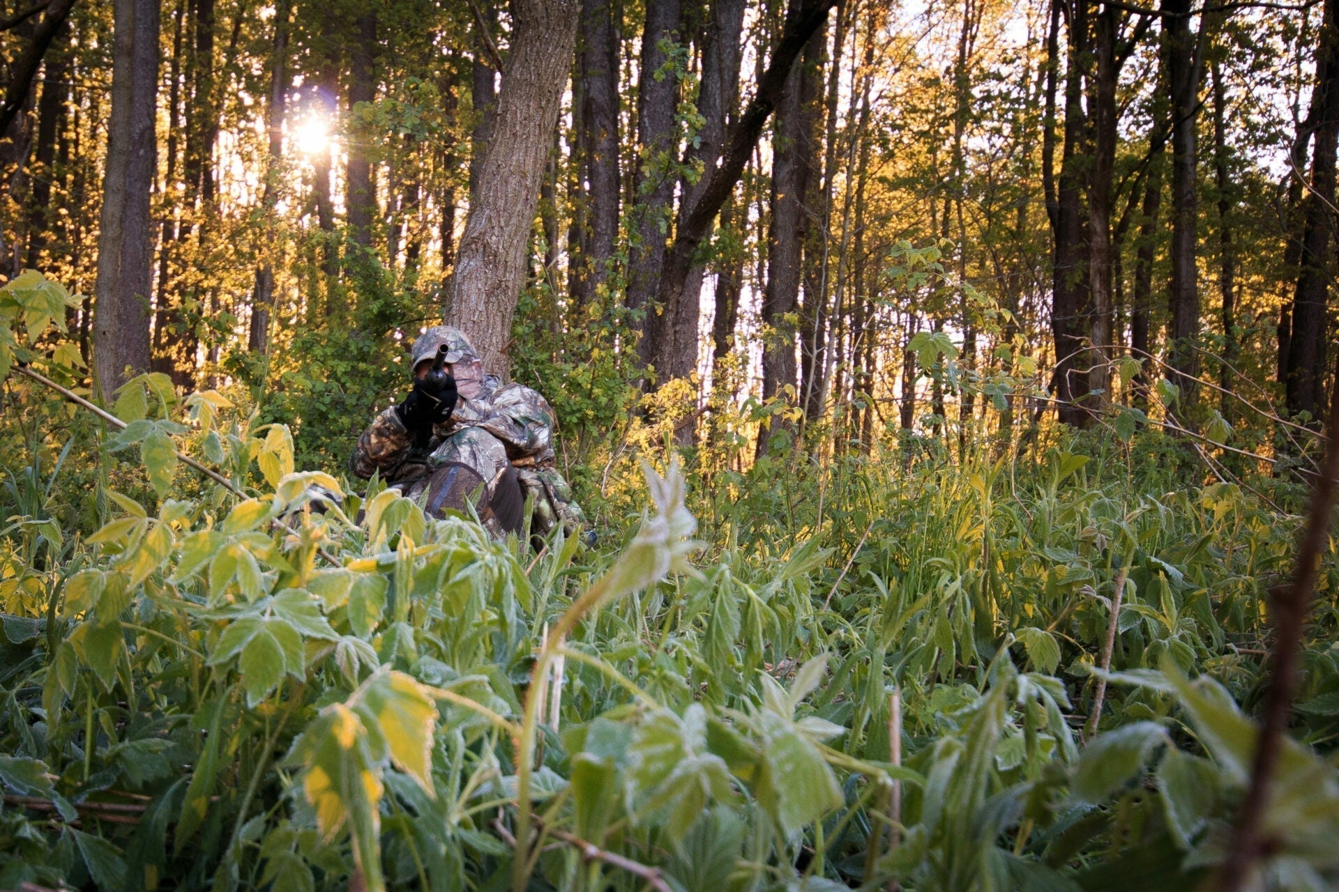 Turkey hunter in full camouflage sitting against a tree at sunrise, concealed in dense green undergrowth in a wooded forest, aiming a shotgun.