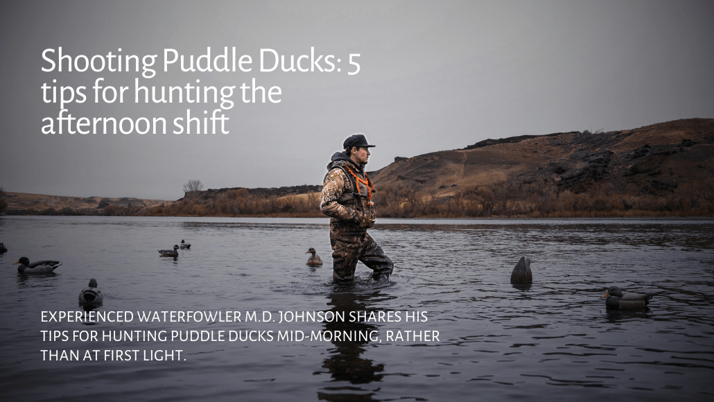 Waterfowler wading through water setting up decoys