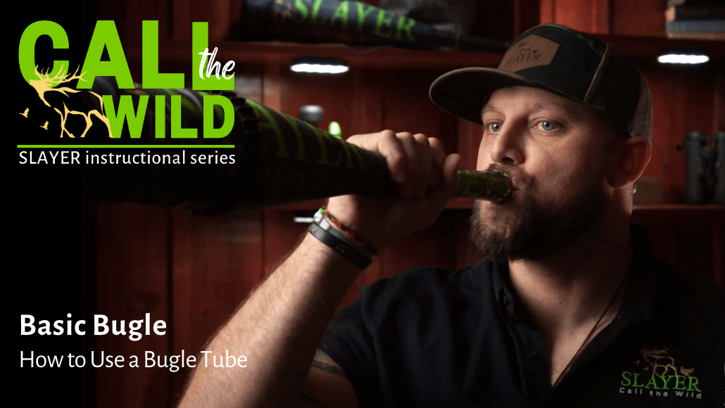 Cody McCarthy on the basic bugle