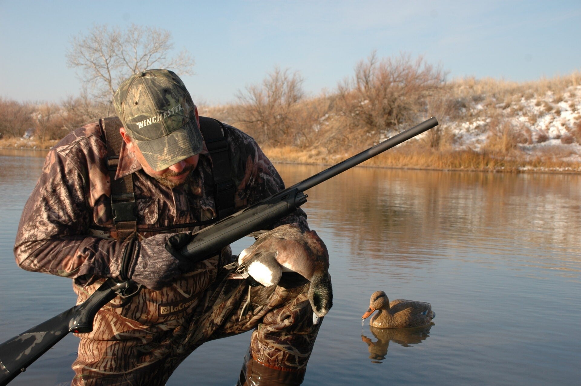 Duck Identification, Part 2