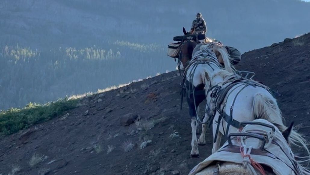 Elk hunters riding into the mountains on horseback