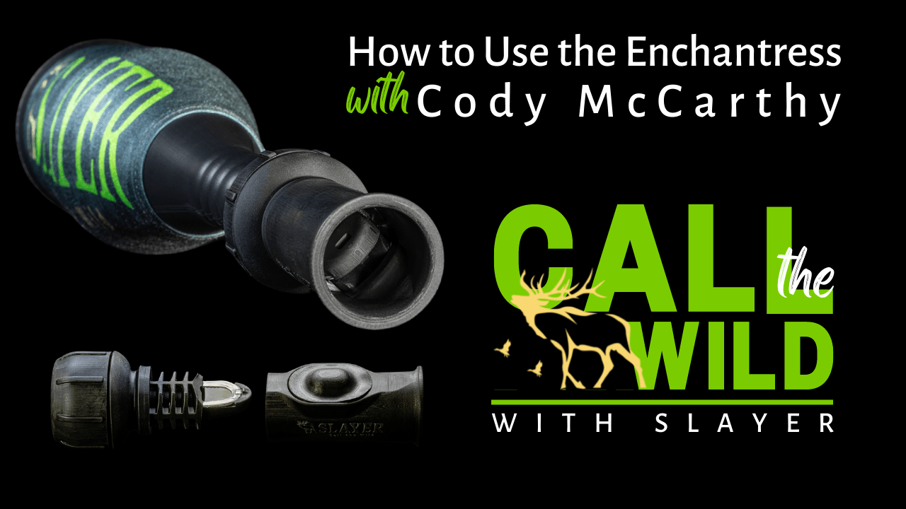 Tips on How to Use the Enchantress External Elk Call | Cody McCarthy