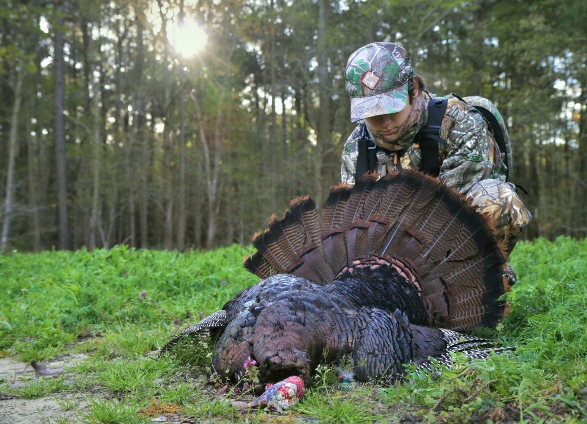 Turkey mouth calls: The pros and cons of diaphragms