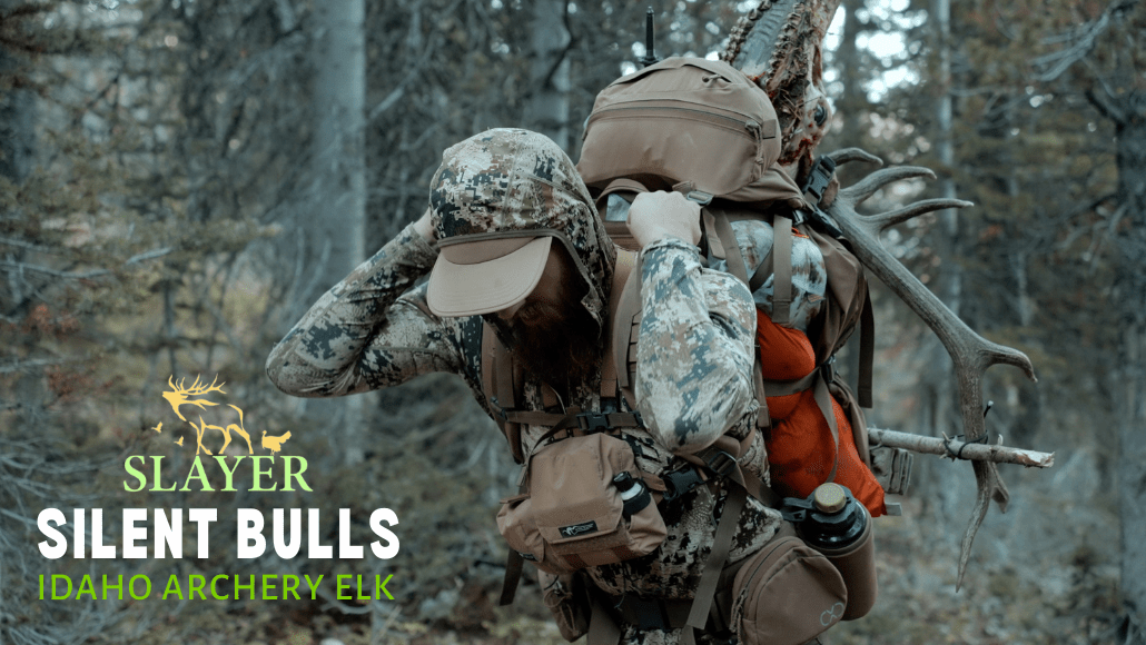 Slayer Calls pro team member carrying out harvested elk