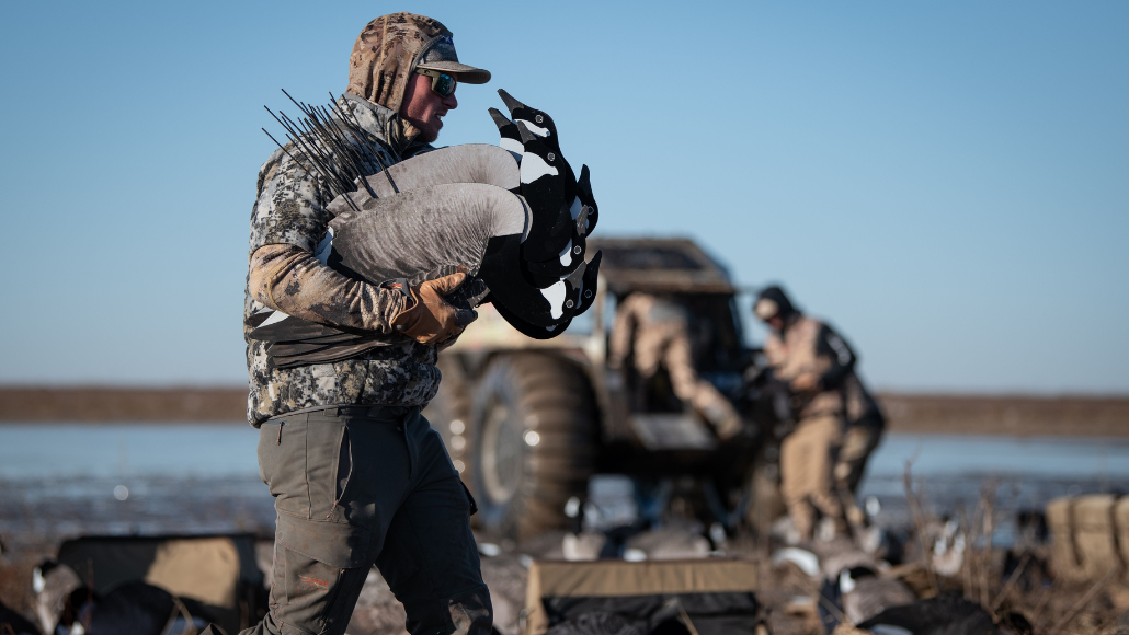 Goose hunter with decoys in arms