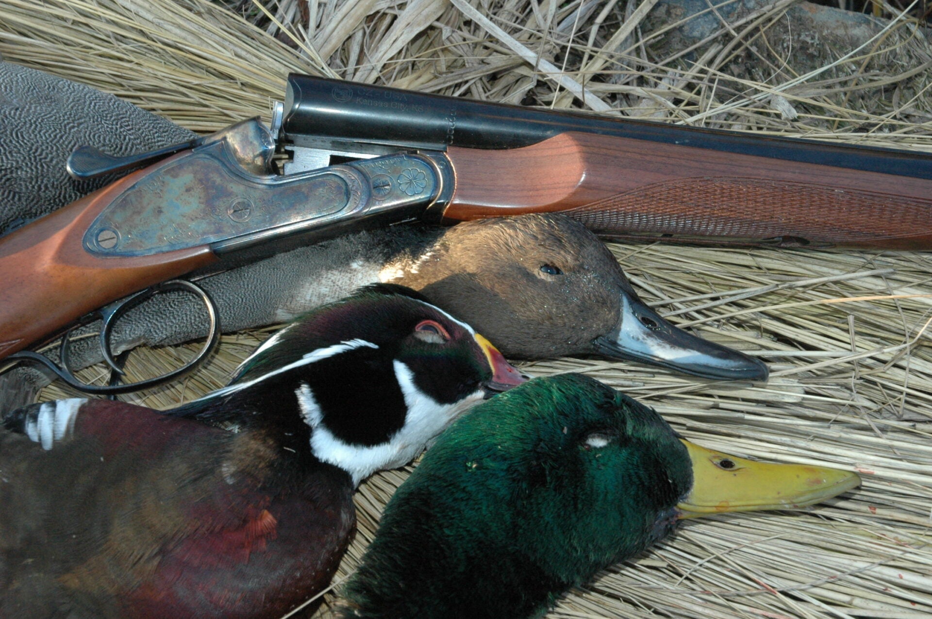 Beyond the quack: Learn the different duck sounds of common species