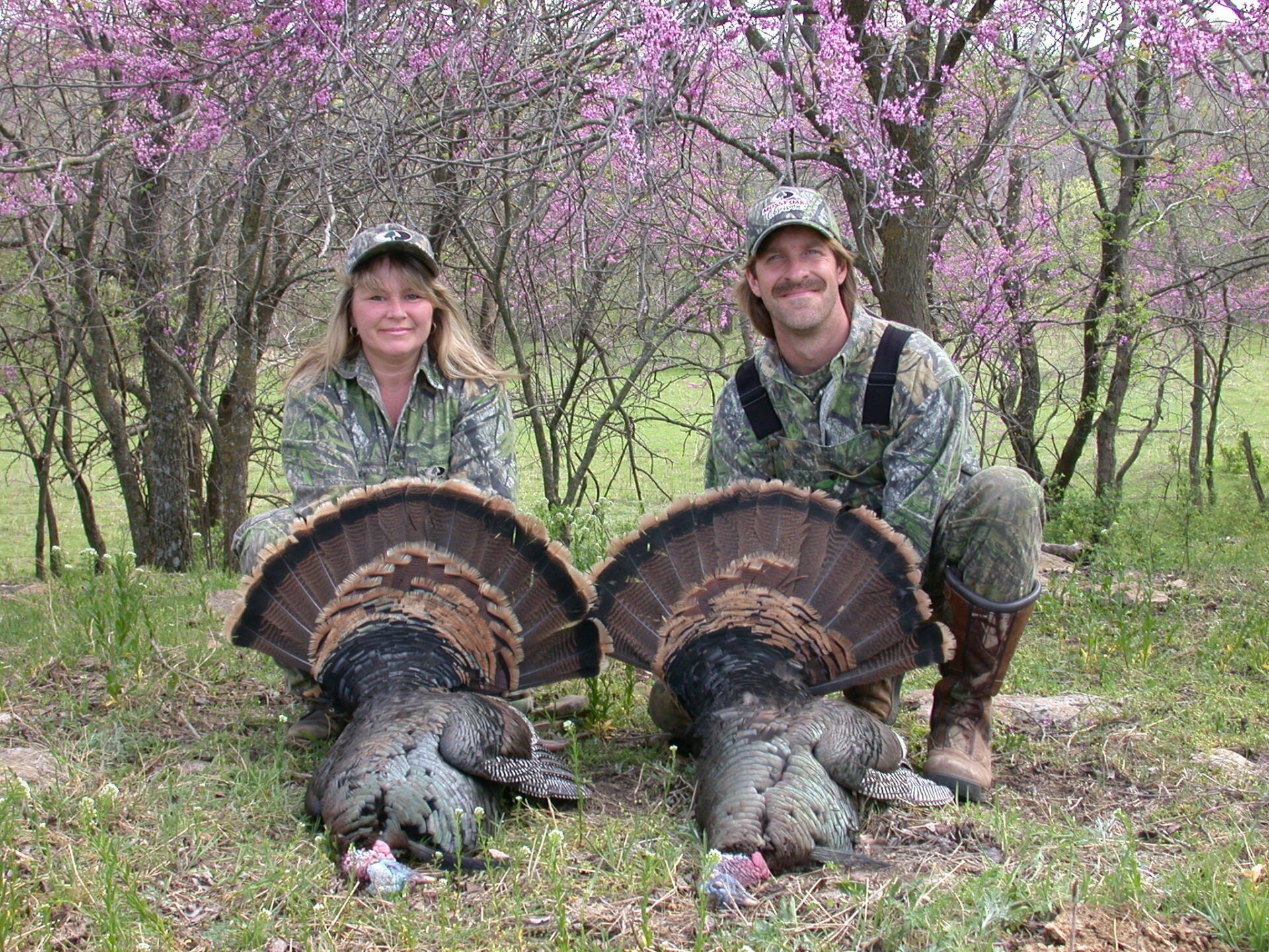 Julie's Grand Slam: Four wild turkeys in one spring season