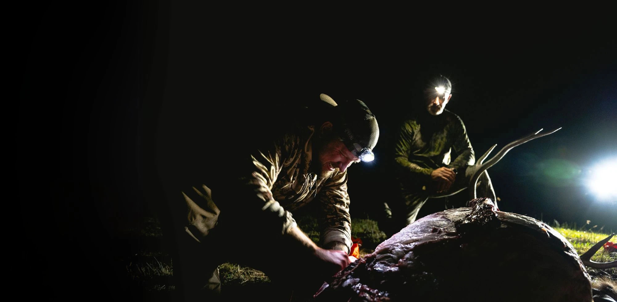 Field-Proven Elk Calls