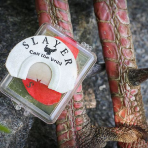 Two v cut turkey reeds with turkey legs in the backgroudn