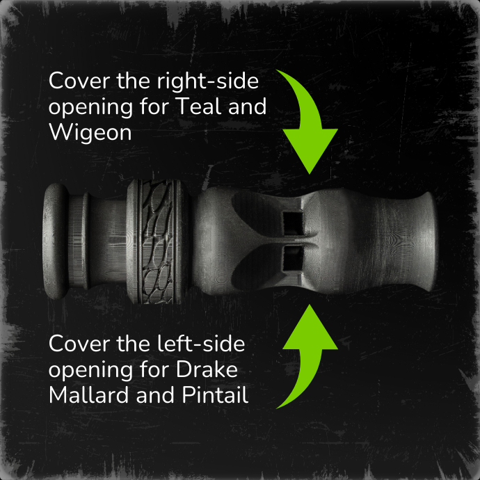 A black duck whistle with two holes, one on the right and one on the left, to produce drake mallard, pintail, wigeon and teal sounds.
