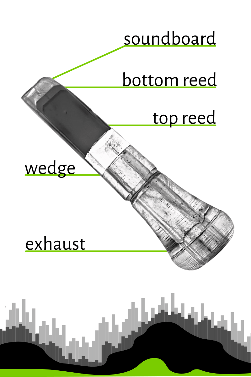 Close up of call outlining the soundboard, bottom reed, top reed, wedge, and exhaust