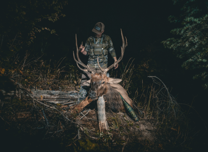 Hunter at night in wood with elk
