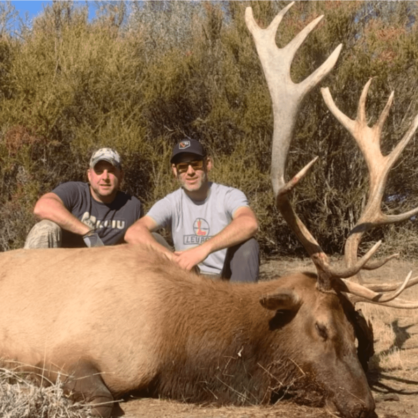 Two hunters with elk
