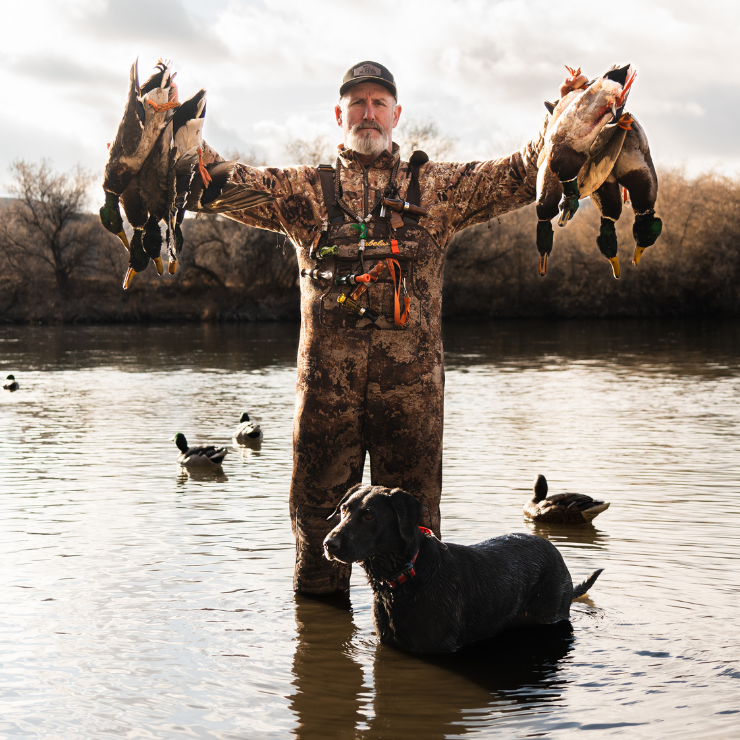 Hunter standing knee-deep in a river holds up several mallards with a black retriever beside him. Decoys float on the water, with late-season brush and trees in the background.