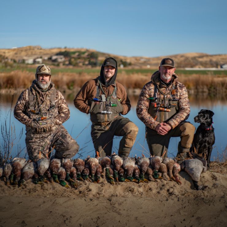 Three camo-clad hunters kneel by a pond with a long line of harvested mallards in front of them. A black Labrador retriever sits at their side, and autumn hills rise in the background.