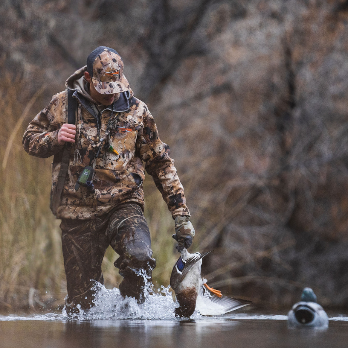 Waterfowl hunter walking through the water with harvested mallard duck in his hand.