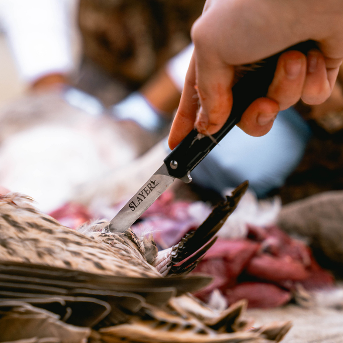 Hunter using a Slayer-branded field dresser to process a game bird, showcasing precision work during field dressing with feathers and meat visible. Included as part of Slayer's Field & Stream Duck Call Collection - Slayer Duck Calls