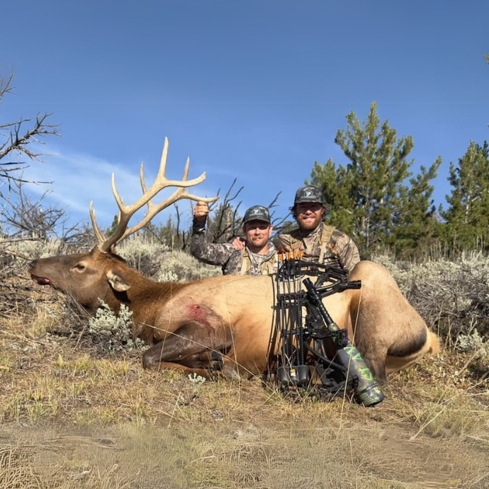 Backcountry elk hunting victory—bull down with Slayer Call in hand