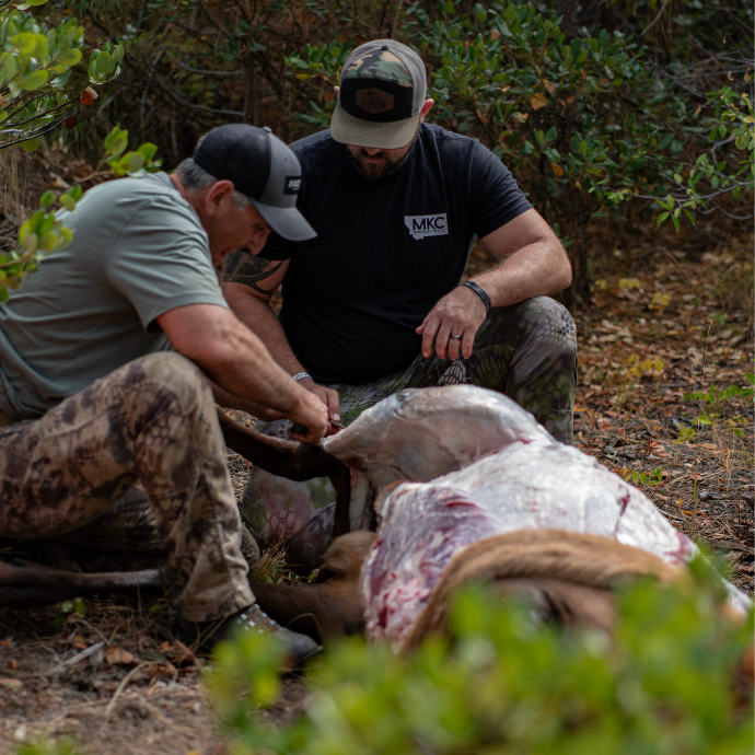Cody and Joe McCarthy field dressing a freshly harvested bull elk after a successful hunt using Slayer Calls in remote backcountry.