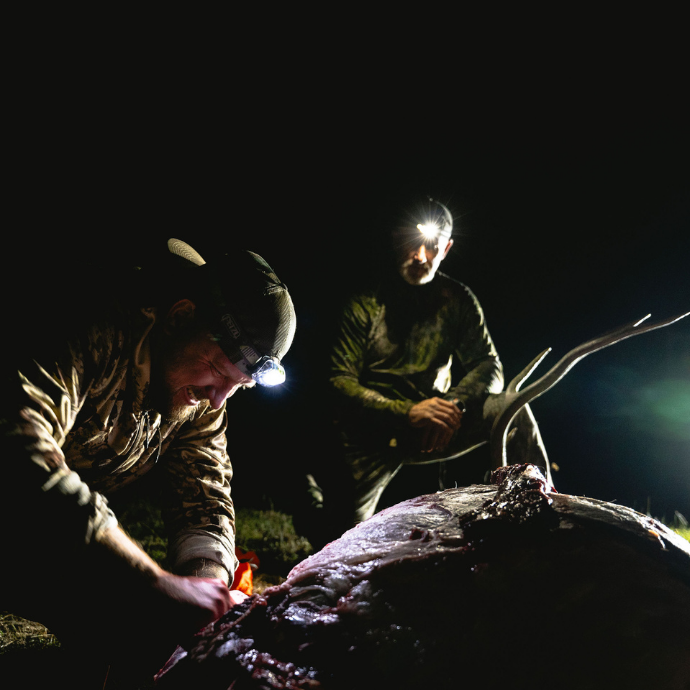 Bill Ayer field dressing a freshly harvested bull elk after a successful hunt using Slayer Calls in remote backcountry at night.