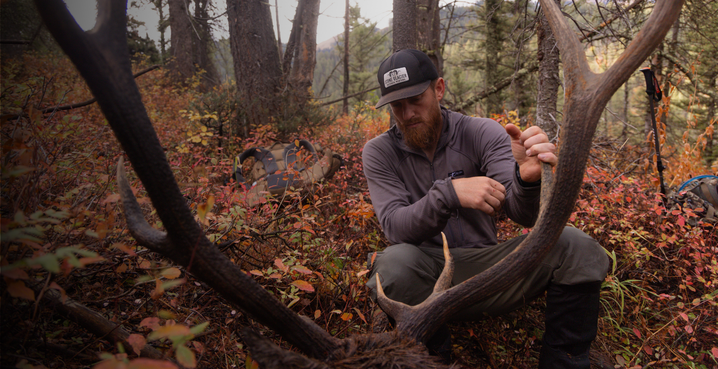 Wyoming elk hunter with harvested bull elk rack during fall hunt. Slayer Calls hunter displays successful trophy in dense timber country.