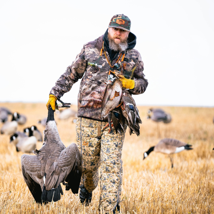Waterfowl hunter walking through a field with harvested Canadian goose and mallards in his hands.