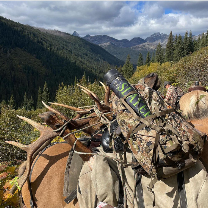 Horses being used by Saddle Mountain Outfitters in British Columbia to pack out harvested bull elk after a successful hunt using Slayer Calls' premium elk calls.