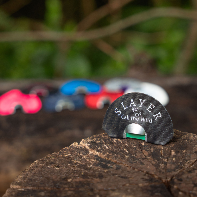 musselshell elk reed sitting on top of a tree stump