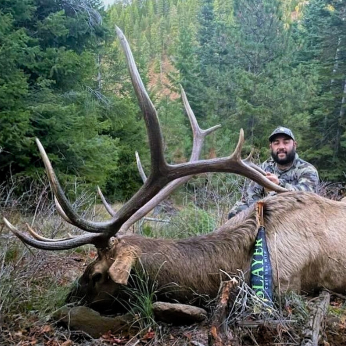Elk hunter kneeling proudly beside a mature bull elk he just harvested, with Slayer's ArchAngle bugle tube resting against the bull mid-section; the massive antlers and mountain landscape highlight the success of using our high-performance elk calls.
