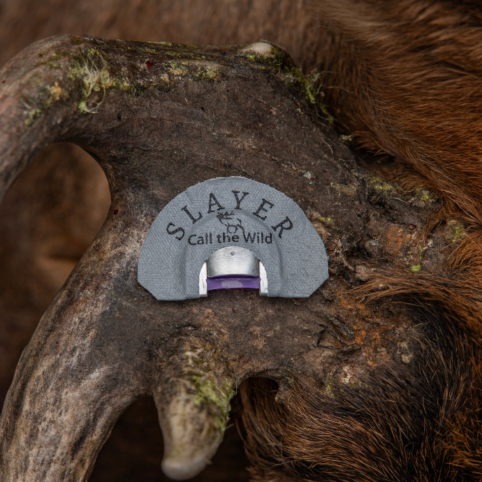 Close-up of Slayer’s grey Northfork elk reed resting on the antlers of a freshly harvested bull elk.