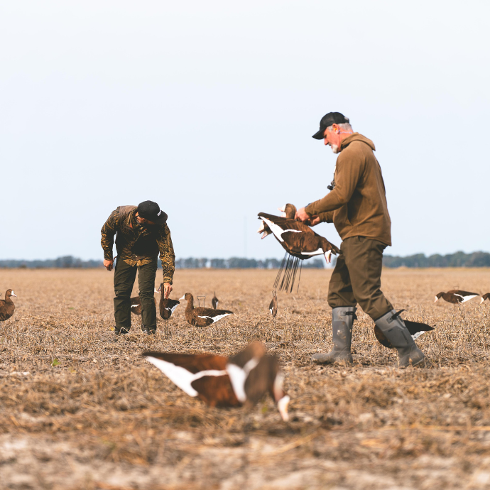 Waterfowl hunters, Bill Ayer and Wade Shoemaker setting a speckle belly decoy spread during Arkansas speck opener.