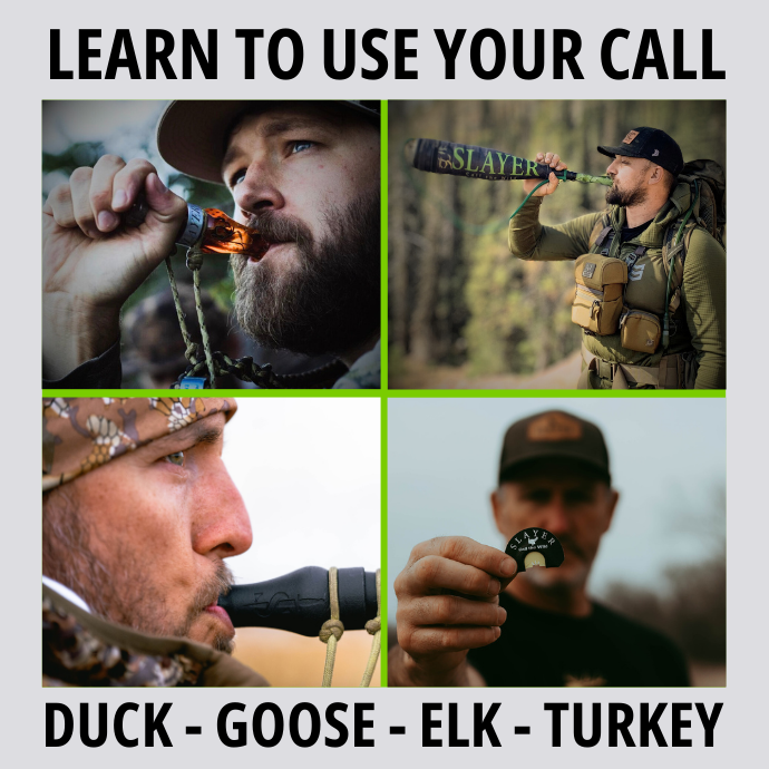 Slayer Calls Call the Wild training series — hunters learning to use duck, goose, elk, and turkey calls with expert instruction for each species.