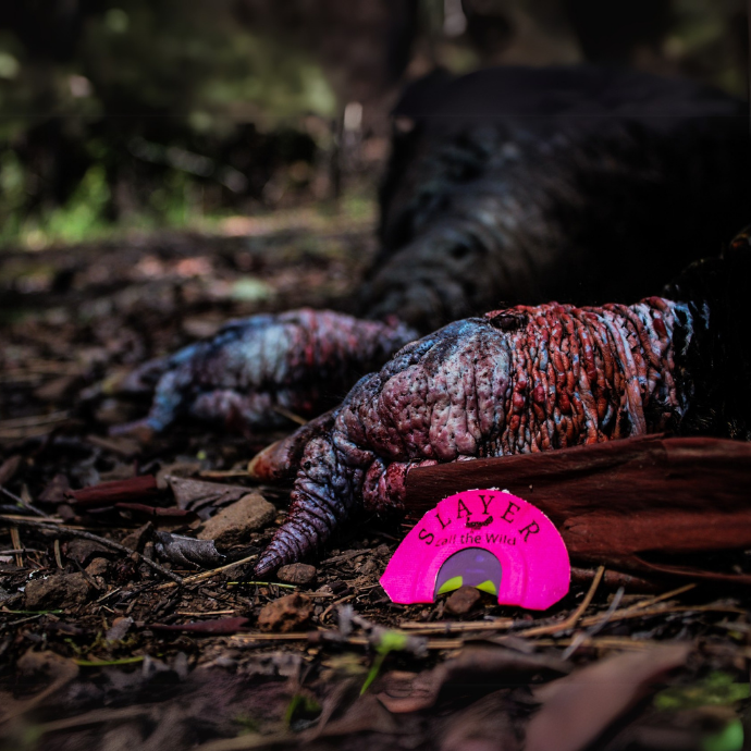 Slayer’s Quad Hen turkey mouth call in hot pink placed in front of a harvested gobbler’s legs and spurs.