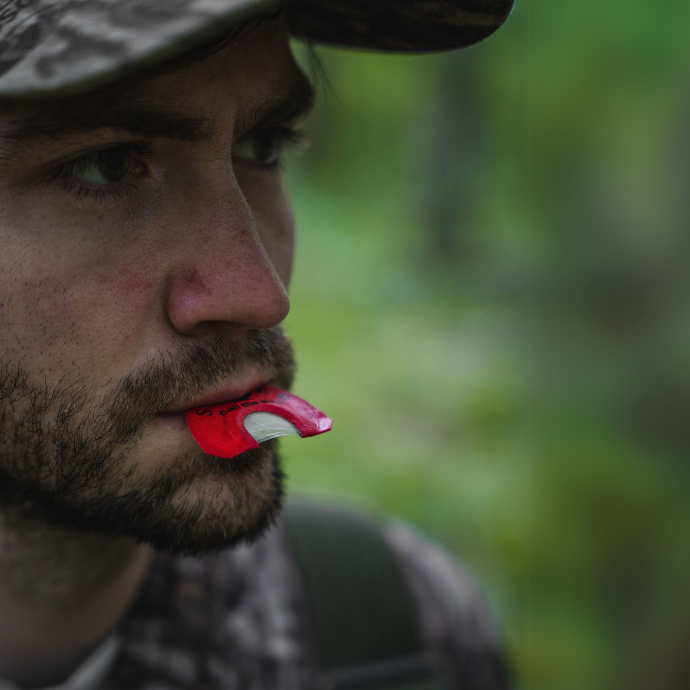 Focused hunter in camo using a red Slayer Straight Double diaphragm turkey call, preparing for a hunt in the forest.