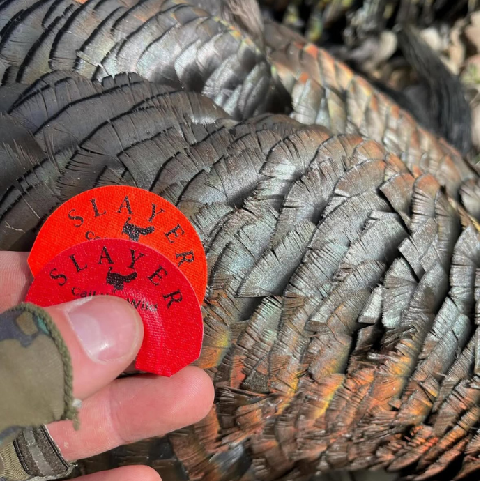 Close-up of a hunter holding two red Slayer Straight Double diaphragm turkey calls against the iridescent feathers of a harvested gobbler.