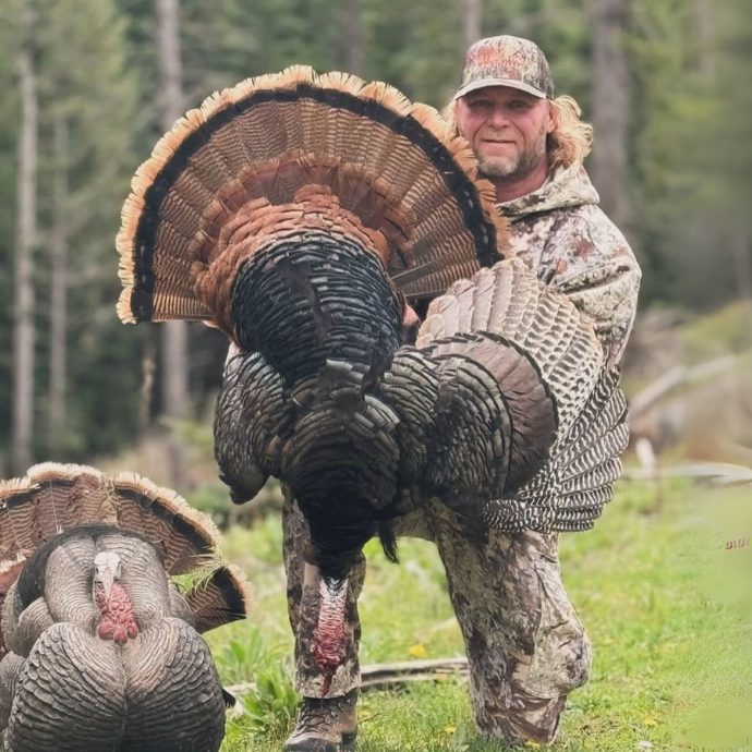 Hunter in camo proudly holding a large wild turkey with full fan displayed, standing next to a turkey decoy in a forest clearing.