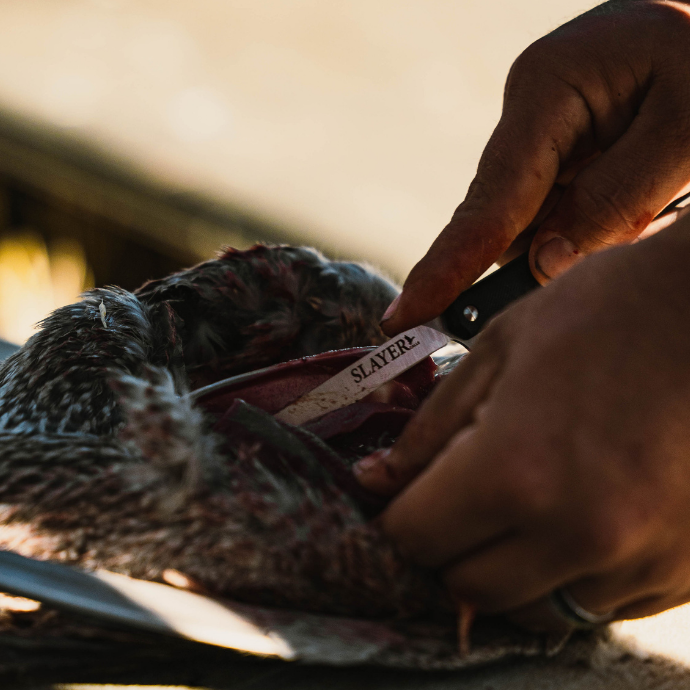 Dressing a downed duck in the marsh with Slayer’s trusted field tool
