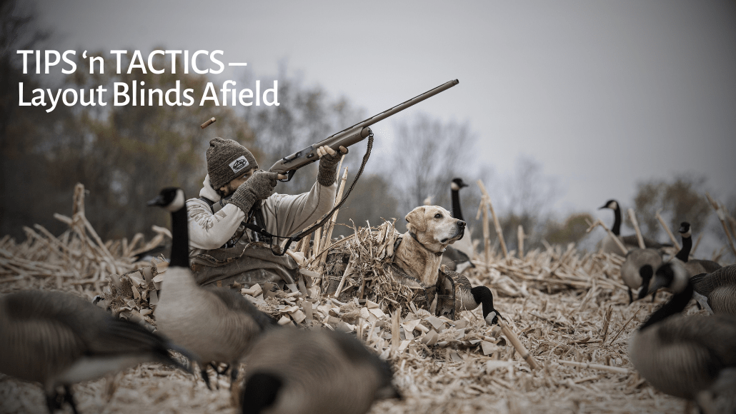 Layout Blind Tips and Tricks (And What Not to Do!)