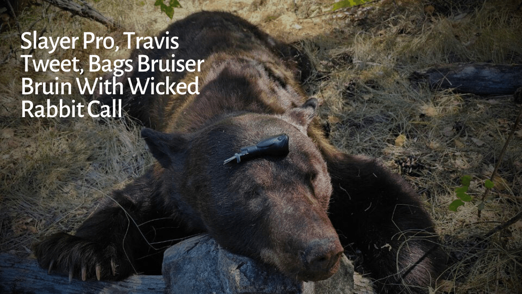 Slayer Pro, Travis Tweet, Bags Bruiser Bruin With Wicked Rabbit Call