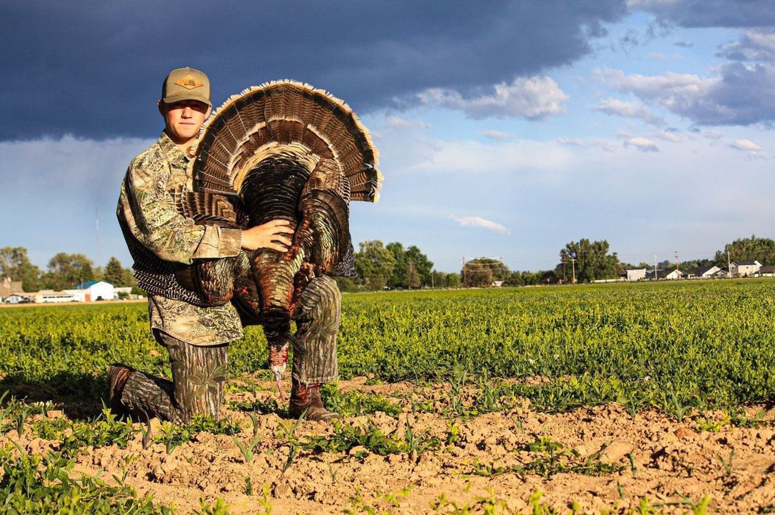 Turkey calls 101: An introduction to hunting hens and toms