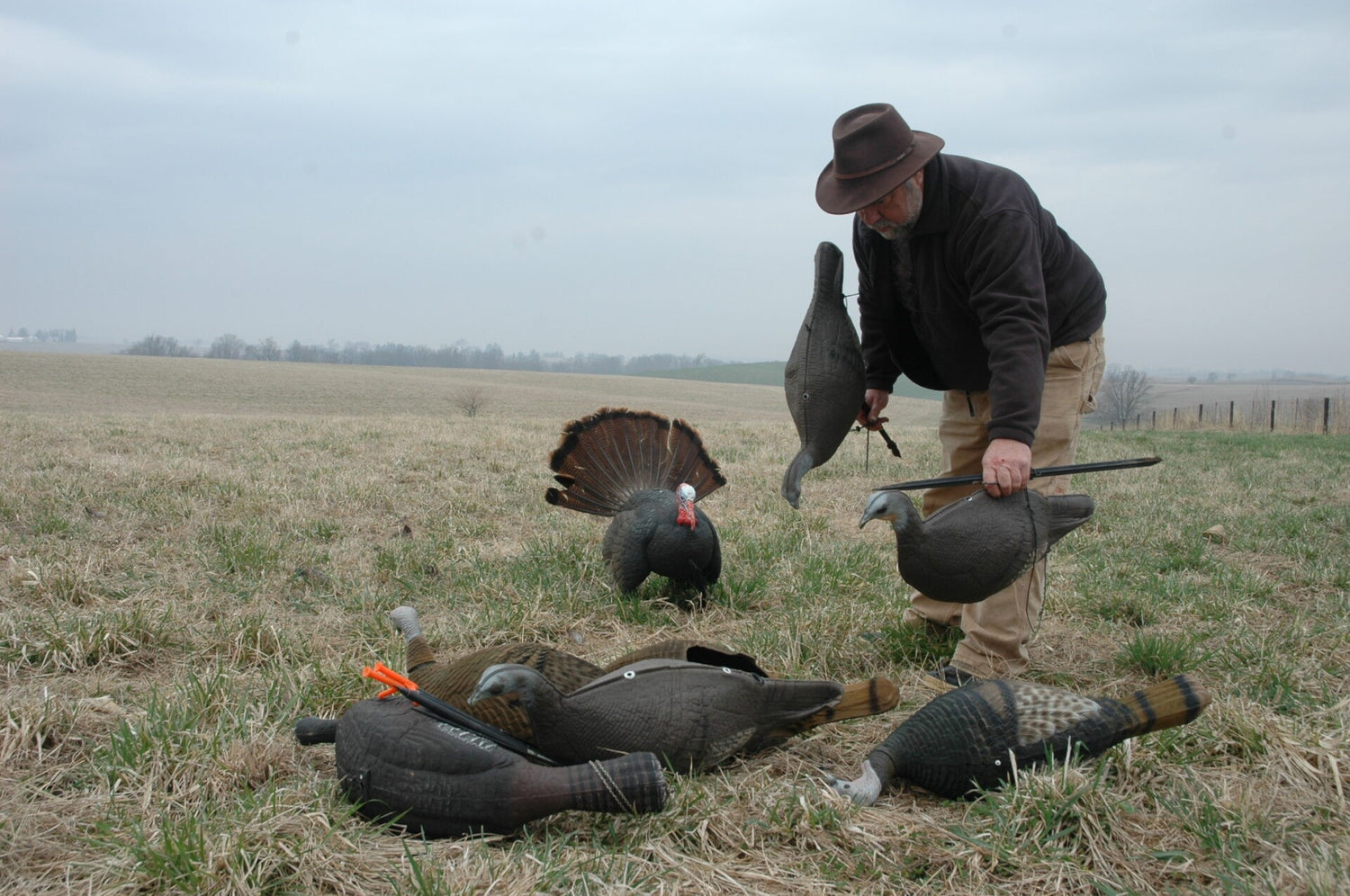 Everything you need to know about turkey decoys