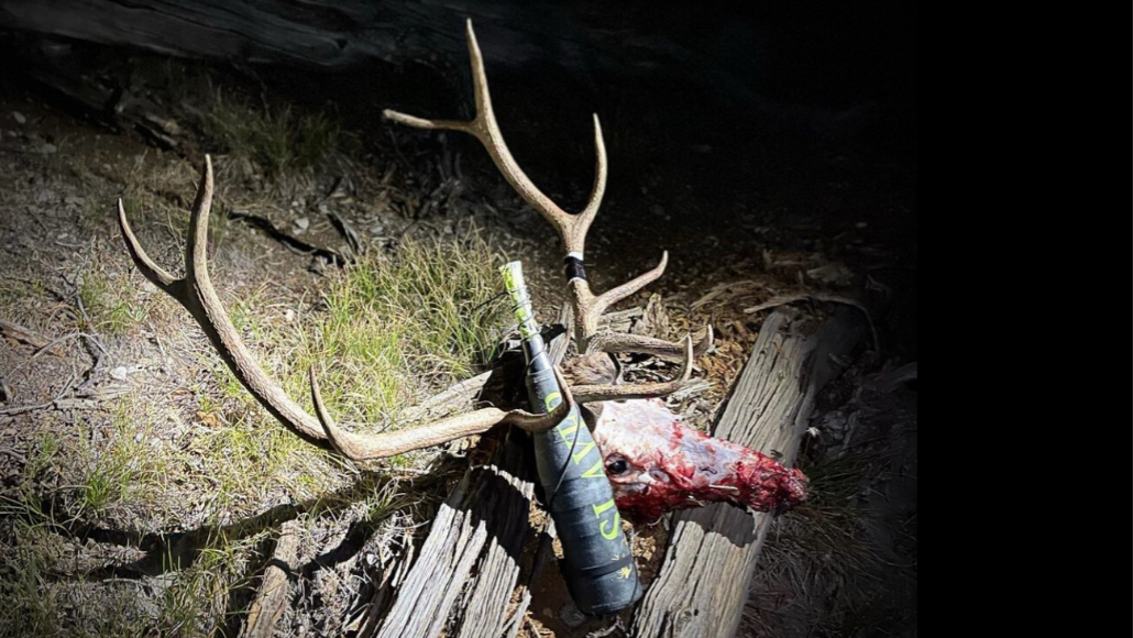 An processed elk skull with antlers laying on the ground with Slayer's ArchAngel bugle tube laying next to it. 