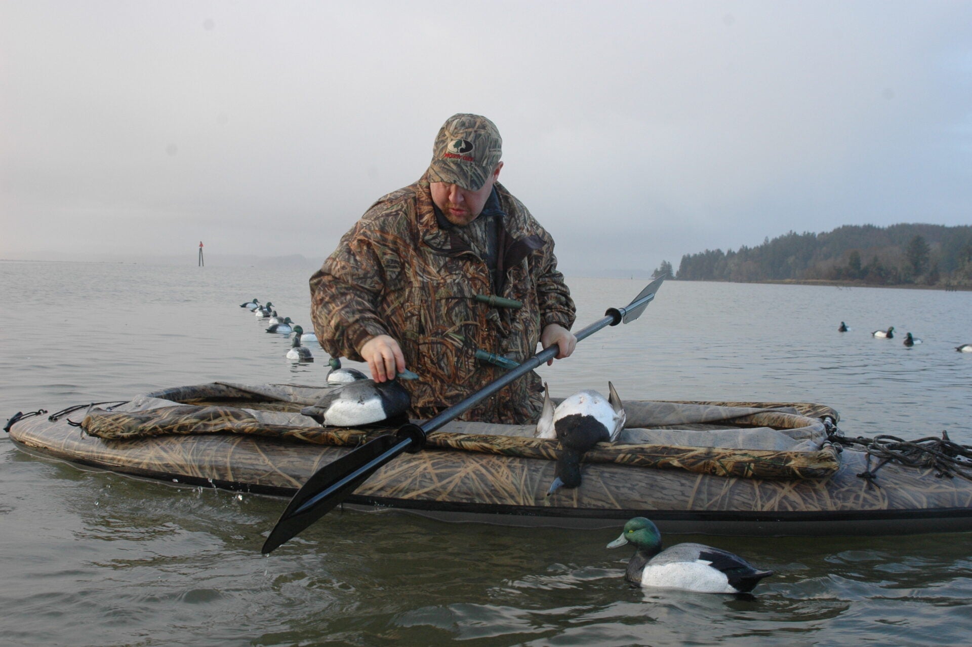 Duck Identification, Part 1
