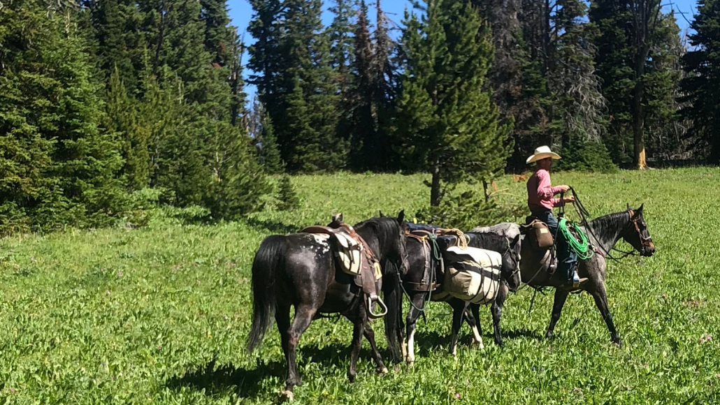 elk hunters on horseback in the middle of a grassy field