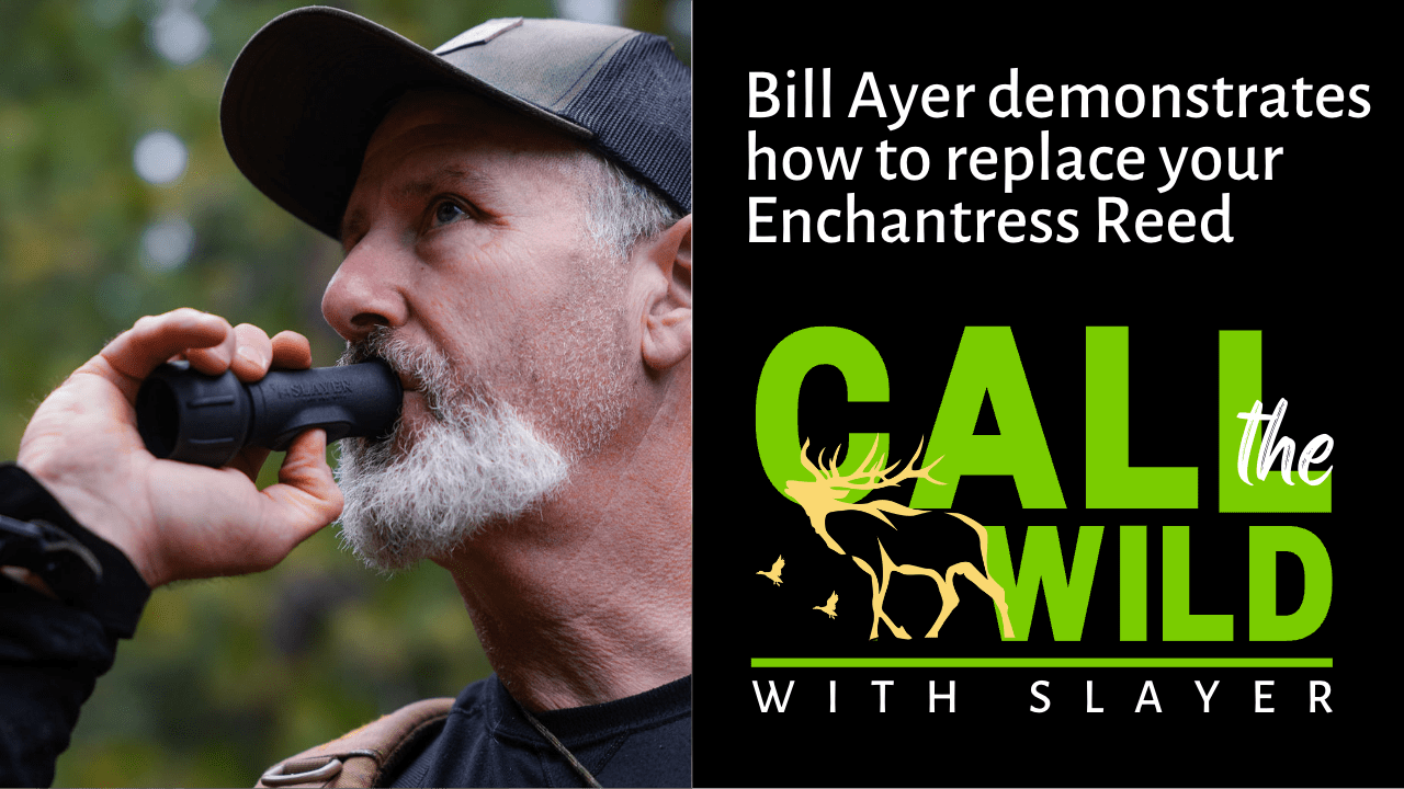 Slayer CEO running Slayer's Enchantress elk cow call