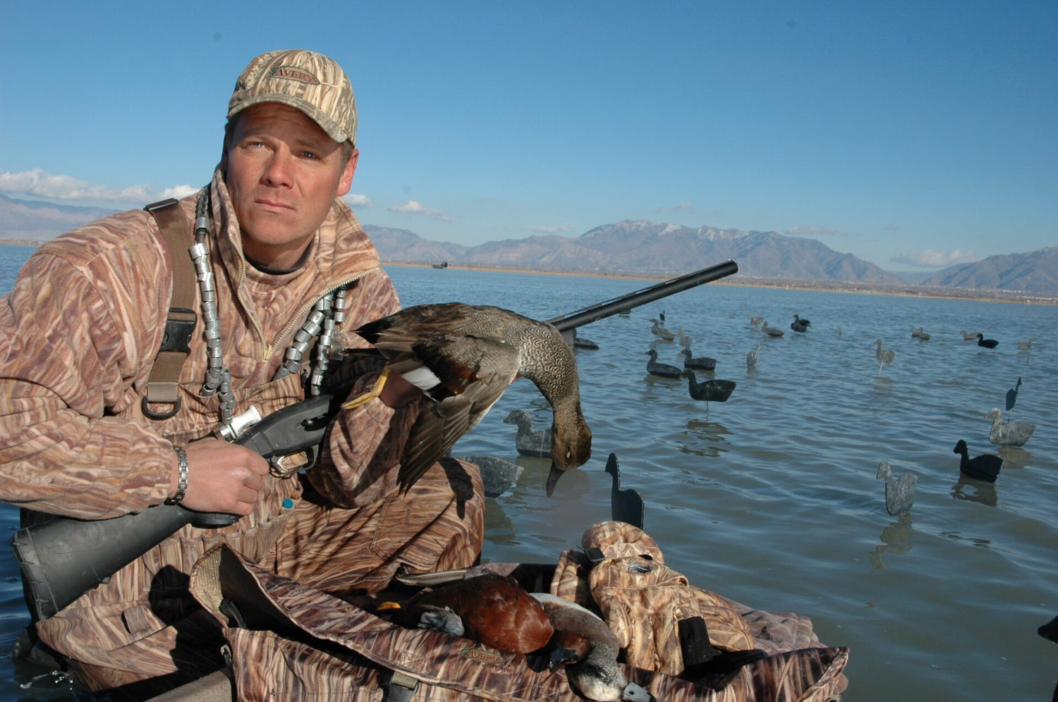 Hunting gadwall ducks: Everything you need to know
