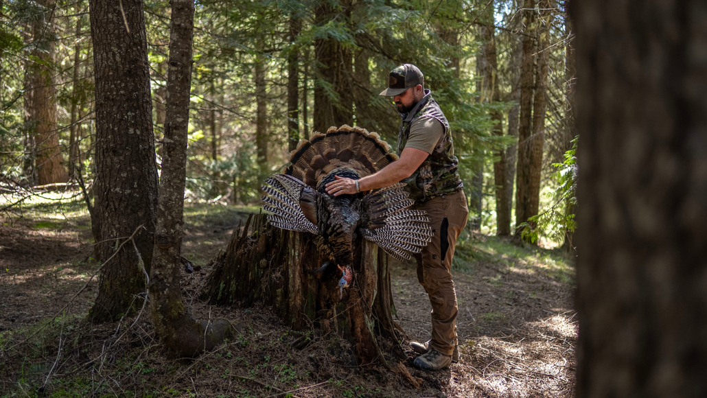 Turkey hunter, Cody McCarthy standing with just harvested mountain turkey after calling him in with Slayer Turkey Calls