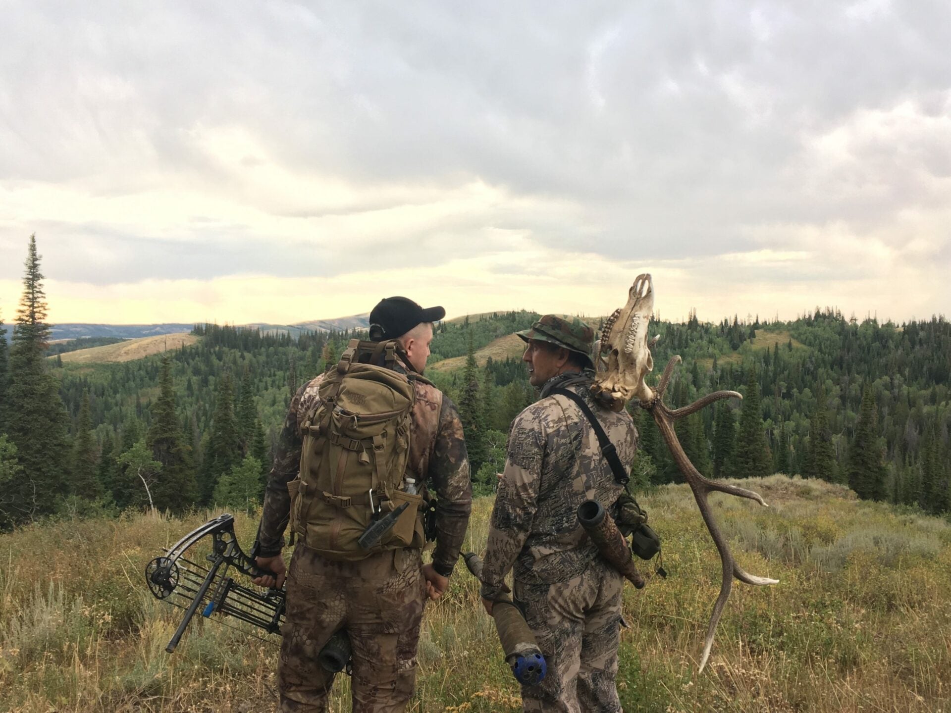 Elk hunting tips for beginners: the dos and don’ts