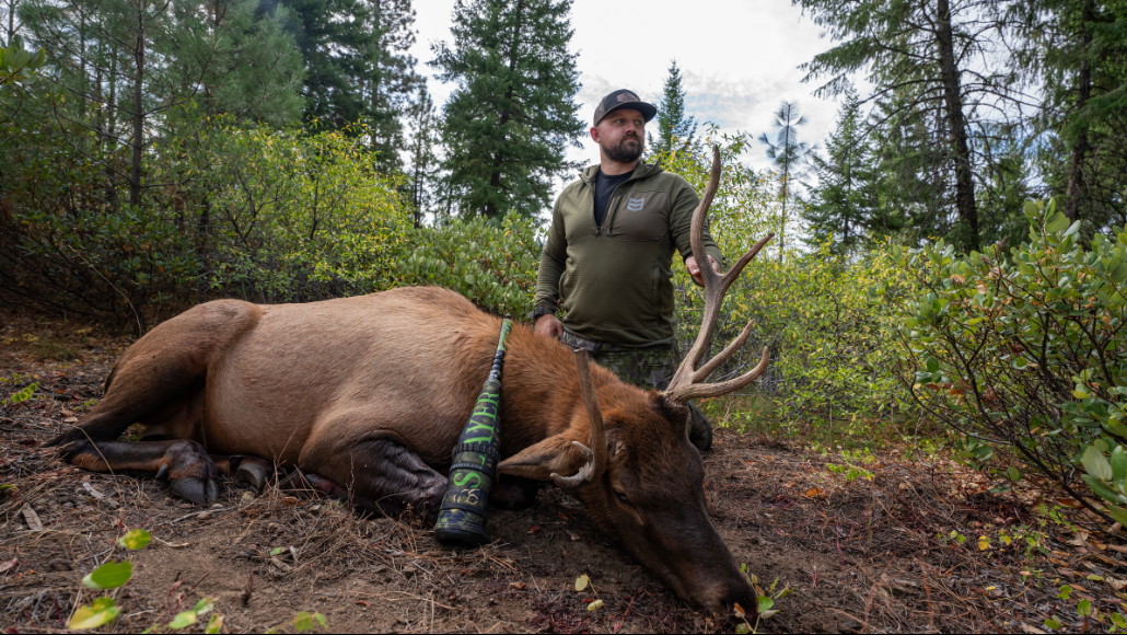 Elk hunter posing with big bull just killed
